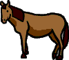 animals_horse-vt.gif